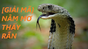 Ảnh hưởng của Giấc Mơ đến Cuộc Sống Hàng Ngày